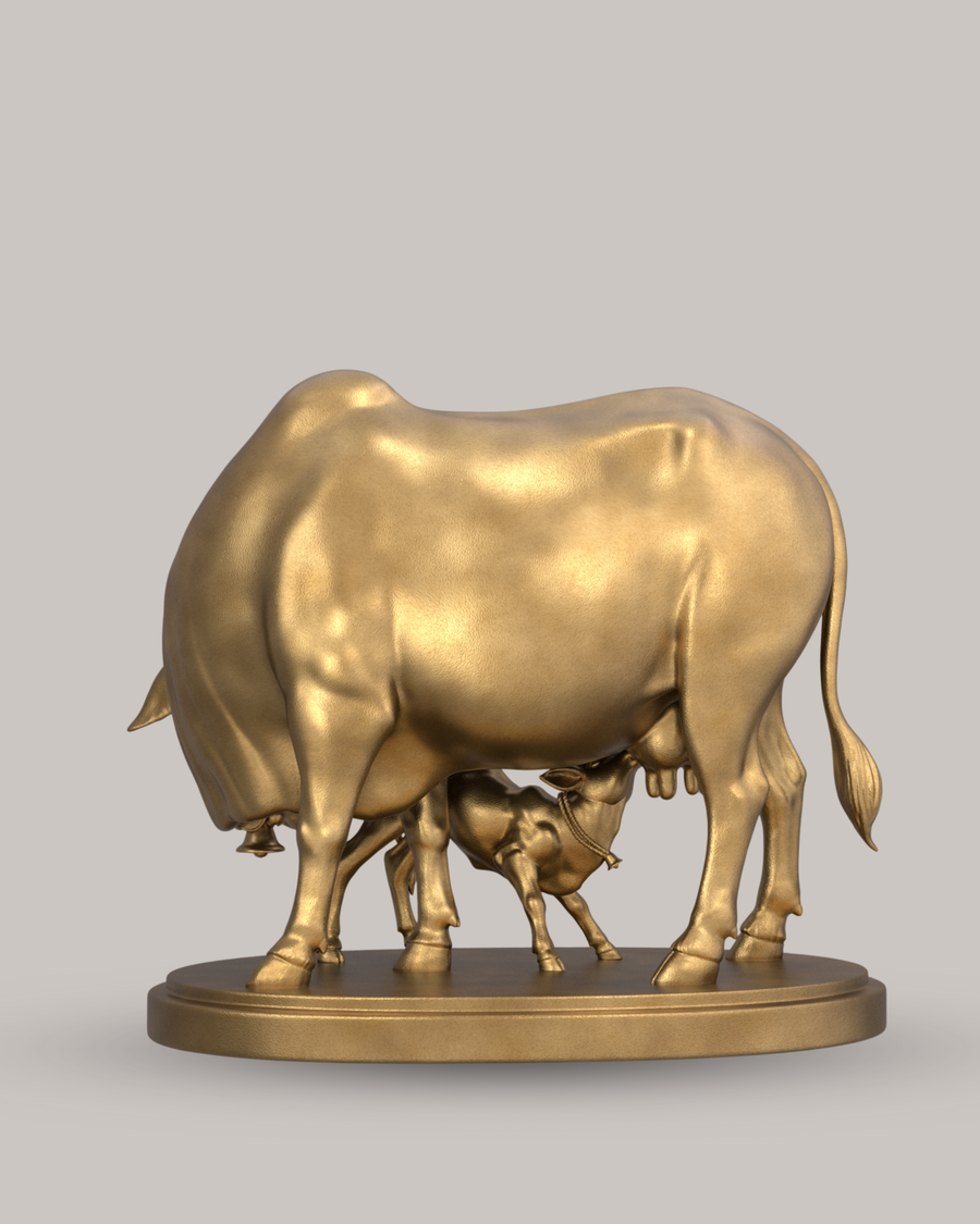 Cow & Calf