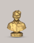 V M Ranga