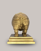 Rhino