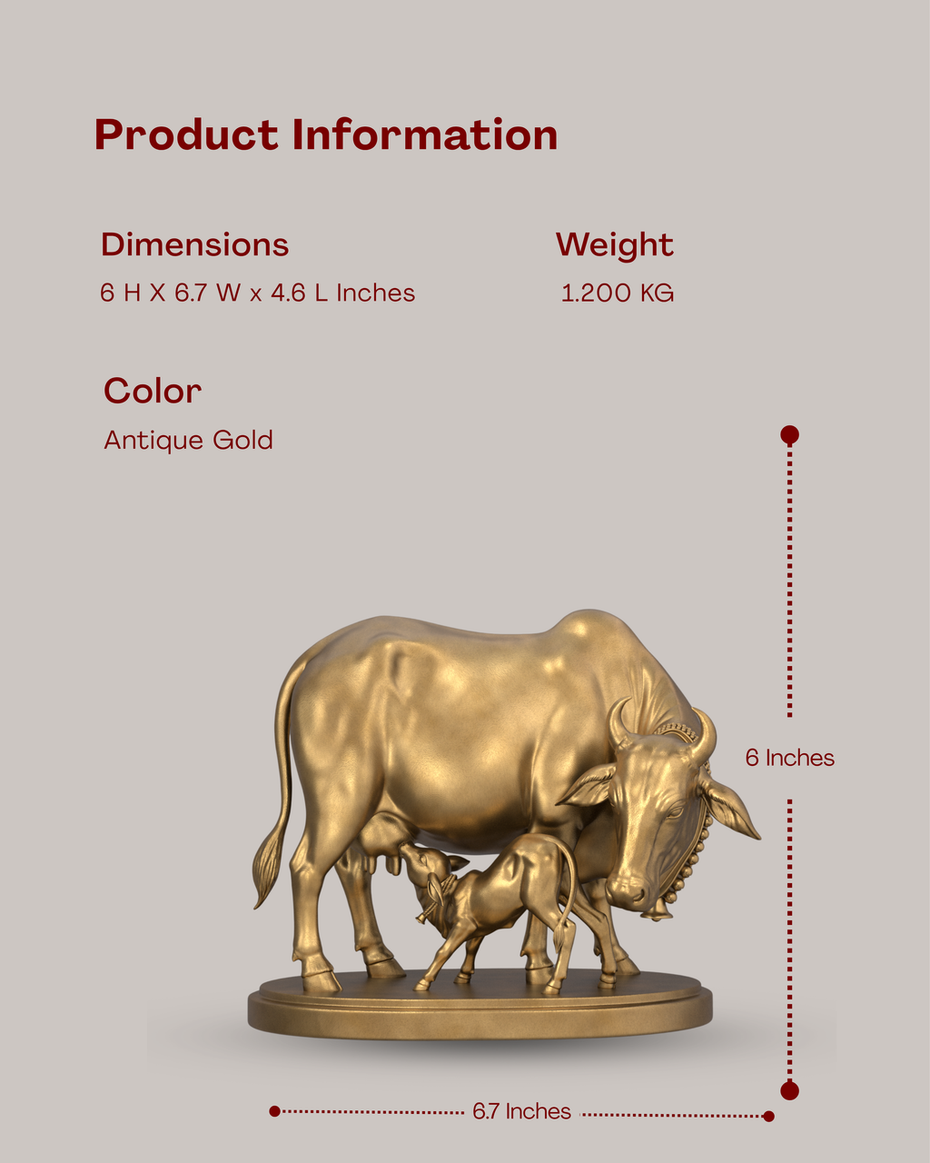 Cow & Calf