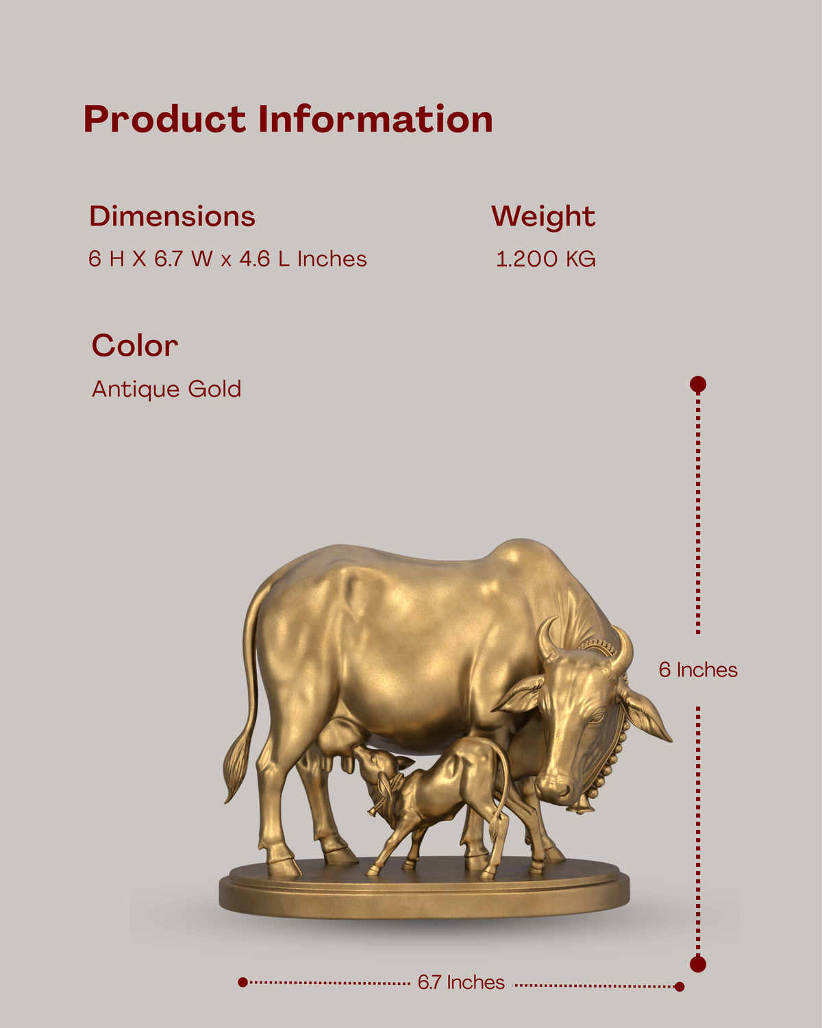 Cow & Calf